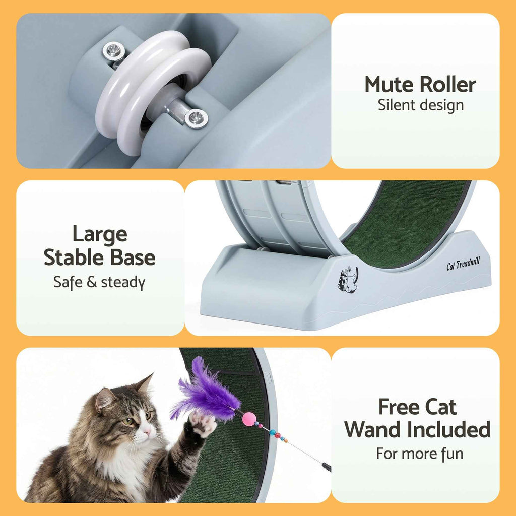i.Pet Cat Exercise Wheel Treadmill Indoor 80cm Blue & Green