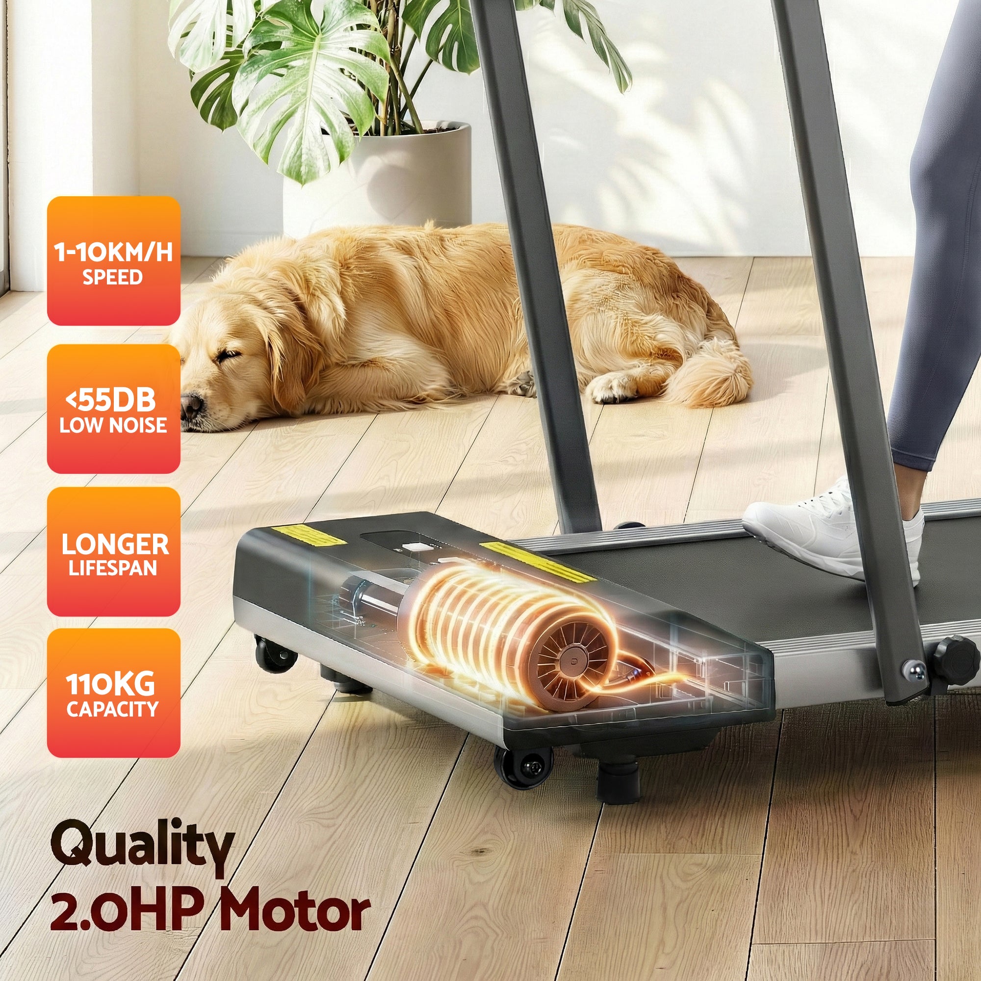 Cinta de correr eléctrica Everfit para debajo del escritorio, para gimnasio en casa, fitness, 380 mm, color gris