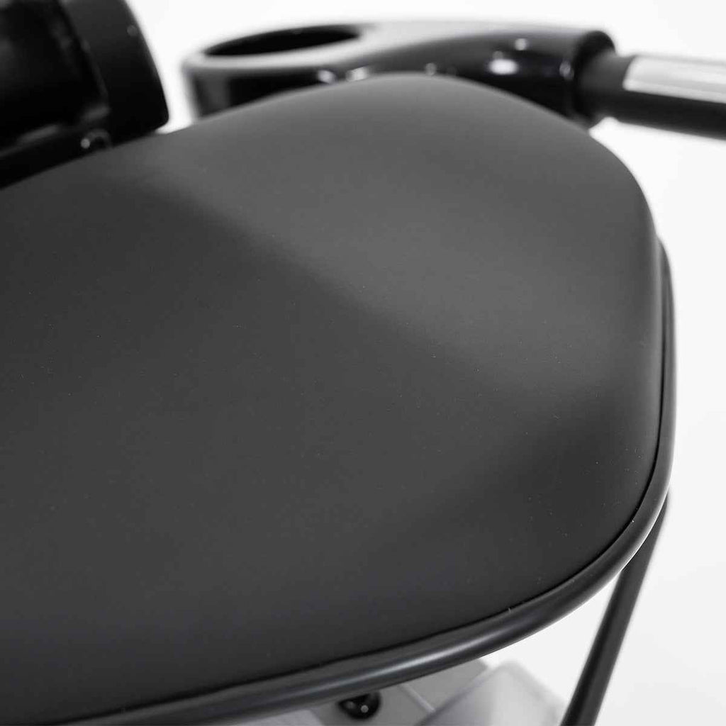 Lifespan Fitness RBX-110 Commercial Recumbent Bike